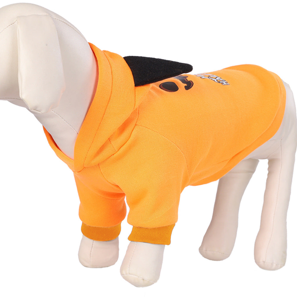 Furry friend dressed for Halloween celebration