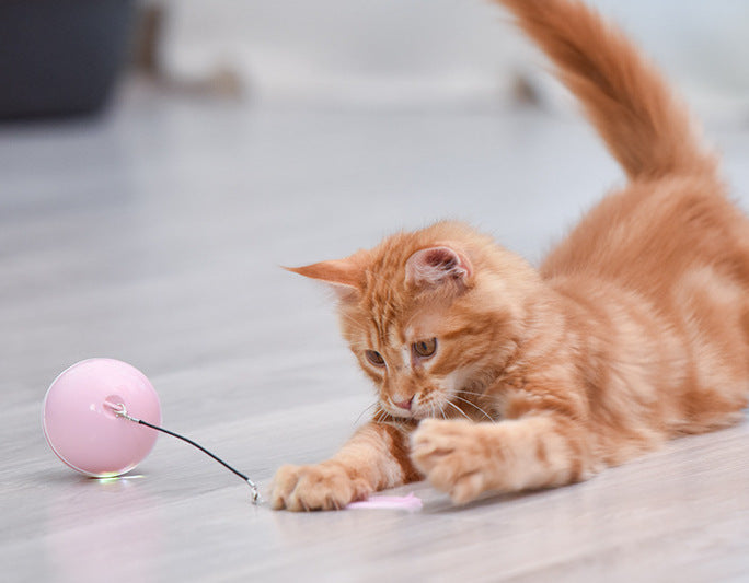 Luminous Cat Toy