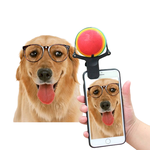 Dog Selfie accessory in action with happy dog