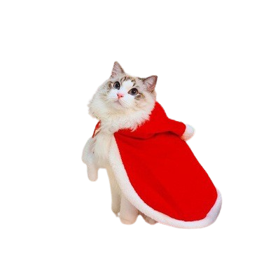 Festive Santa Cape