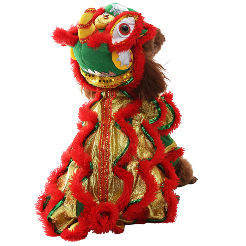 Chinese Dragon Costume