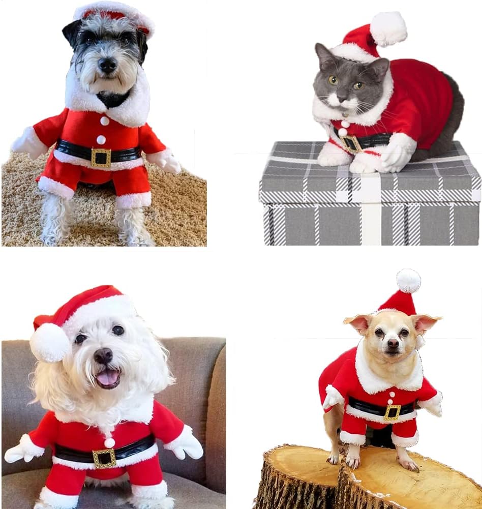 Small Pet Santa Costume