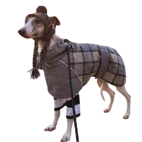 Wool Plaid Pet Coat