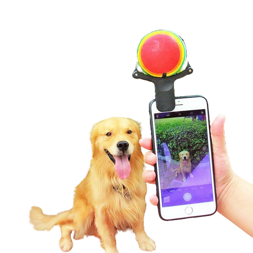 Innovative dog selfie clip attached to smartphone
