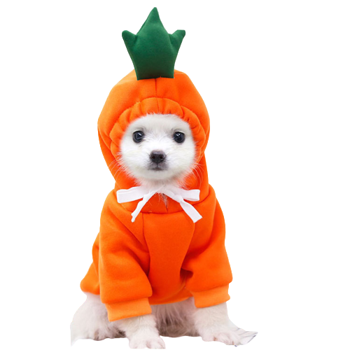 Cute Carrot Dog Hoodie