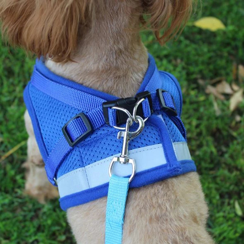 Adjustable-Comfort Dog Harness on white background