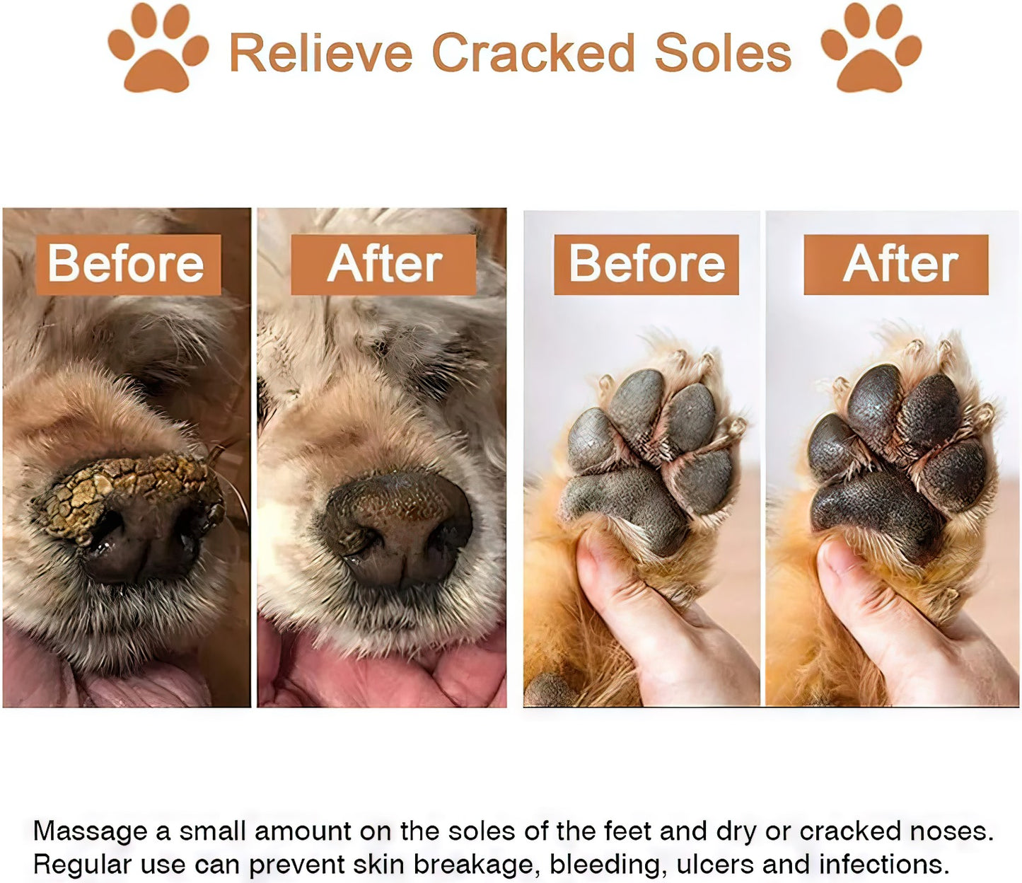 Premium Paw Balm : Organic & Healing Paw Protector