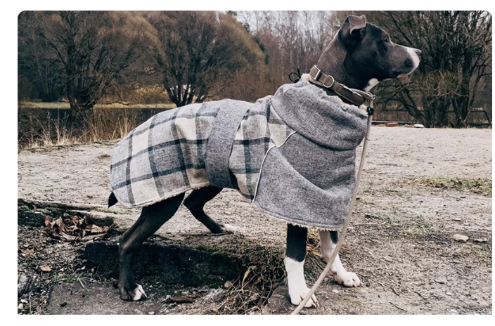 Wool Plaid Pet Coat