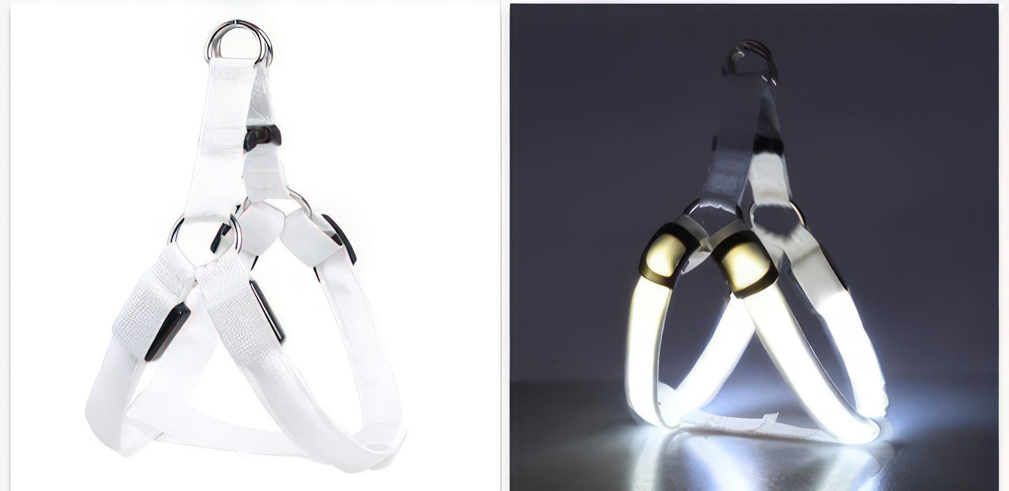 LED luminous Dog Harness