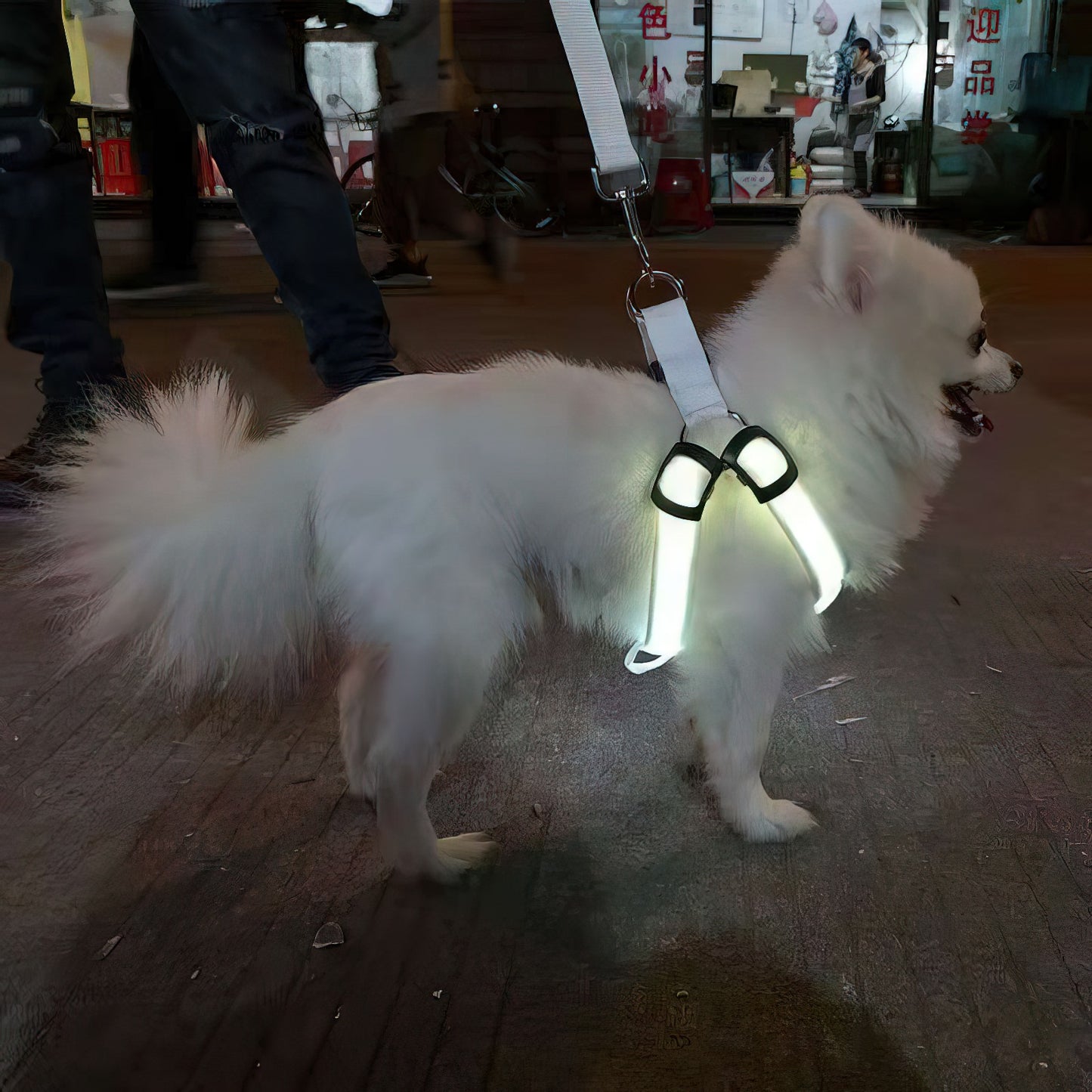 LED luminous Dog Harness
