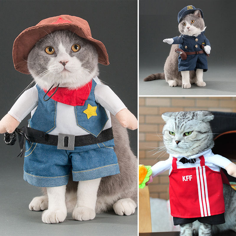 Adorable pet in KFC bucket outfit for Halloween