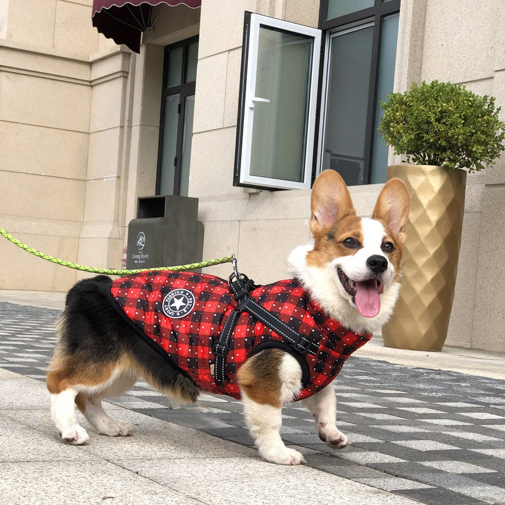 Durable Waterproof Dog Coat with Built-in Harness - Snowflake