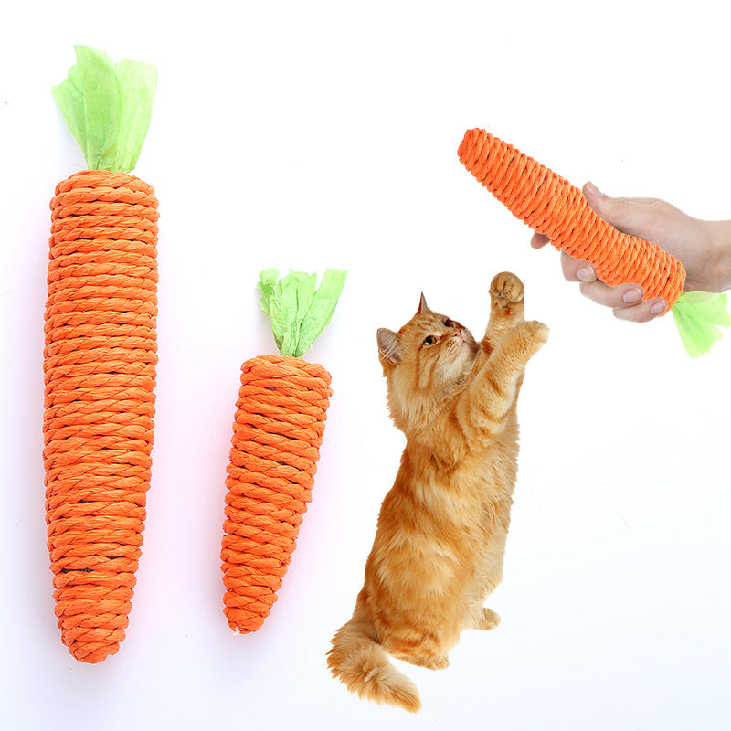 Scratchie Carrot